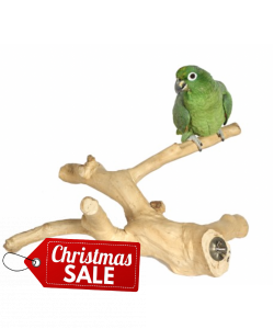 Java Wood Multibranch Perch For Parrots - Medium